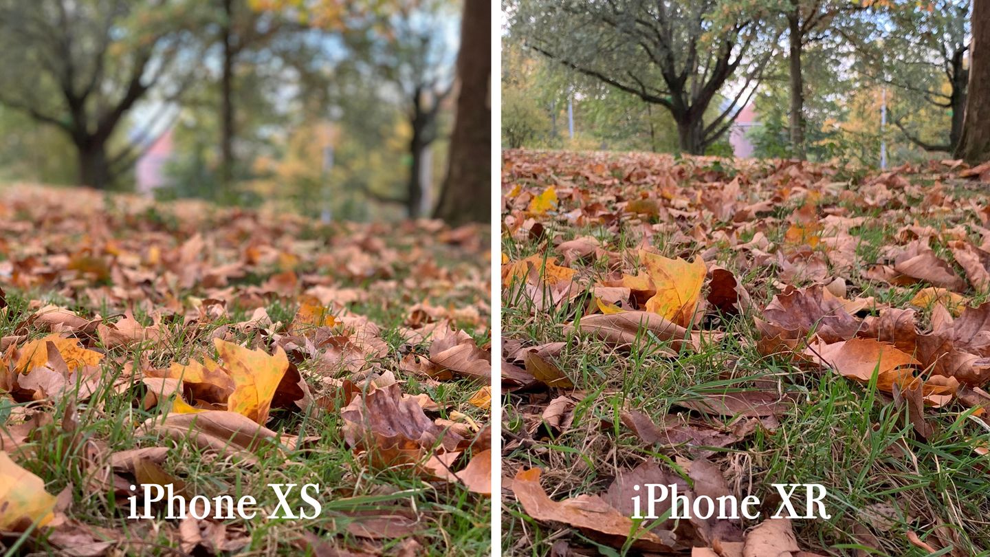 Bei Personen funktioniert der Porträtmodus sehr gut. Bei Objekten kann das XR aber nicht mit dem XS mithalten. Das Blatt etwa ließ sich mit dem XS leicht fokussieren, beim XR gelang das auch in mehreren Anläufen nicht. Die Software wurde eindeutig auf Gesichter trainiert.