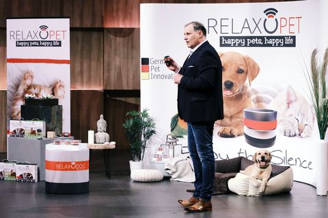 Relaxopet in der Höhle der Löwen