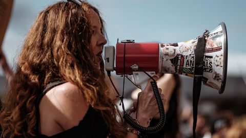 Politiker, Lehrer, Schüler und Netzaktivisten rufen zum Protest gegen die Pläne der AfD auf