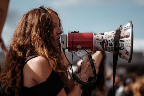 Politiker, Lehrer, Schüler und Netzaktivisten rufen zum Protest gegen die Pläne der AfD auf