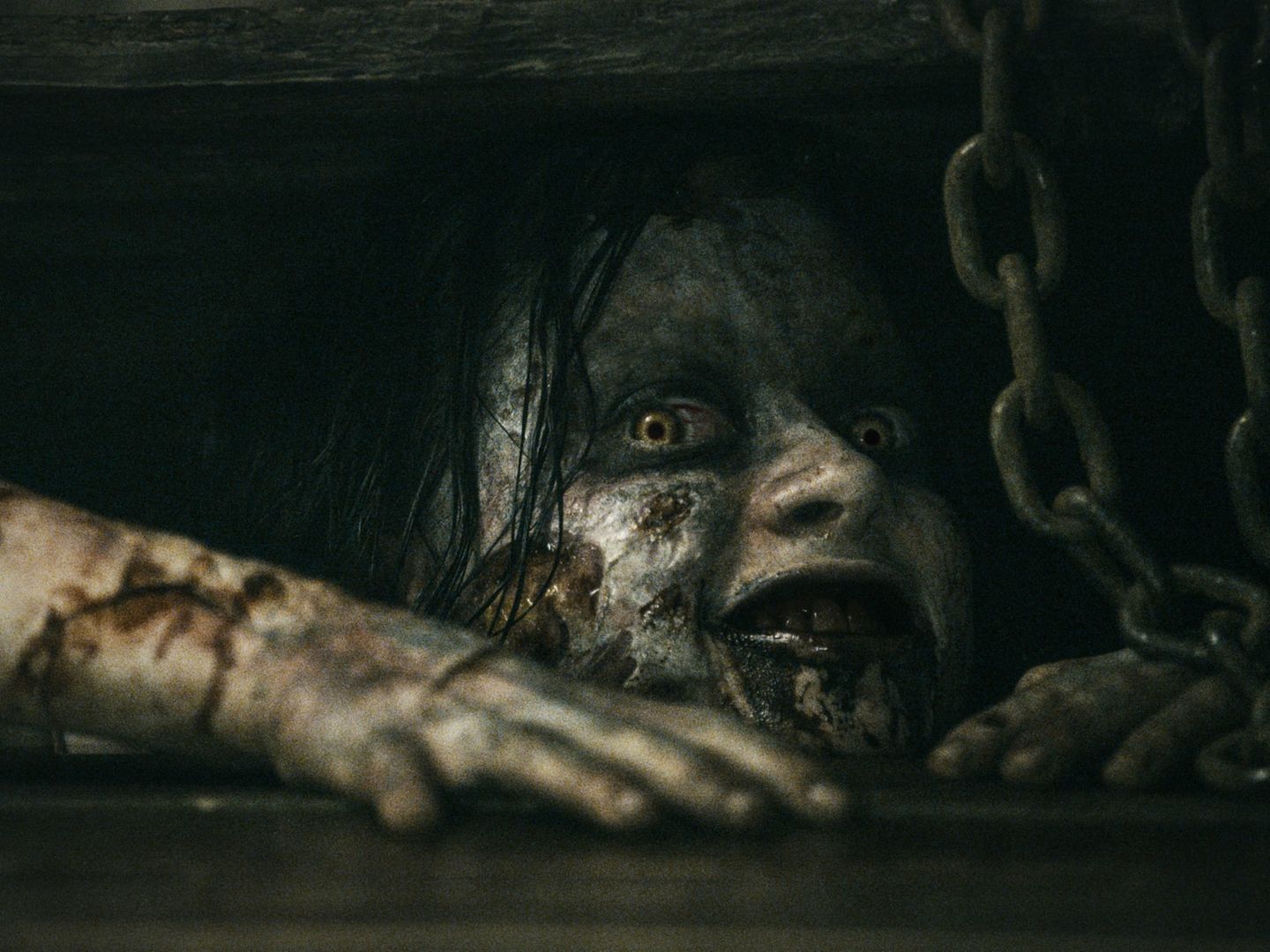 Film-Tipps: Die fünf besten Horrorfilme für Halloween | STERN.de