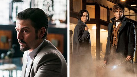 Mit "Narcos: Mexico" und "Phantastische Tierwesen und wo sie zu finden sind" hat Netflix auch im November einige spannende Neuerungen parat