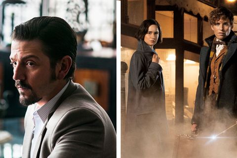 Mit "Narcos: Mexico" und "Phantastische Tierwesen und wo sie zu finden sind" hat Netflix auch im November einige spannende Neuerungen parat