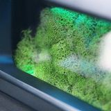 Zum Filtern der Klimaanlagenluft wird Island Moos verwendet