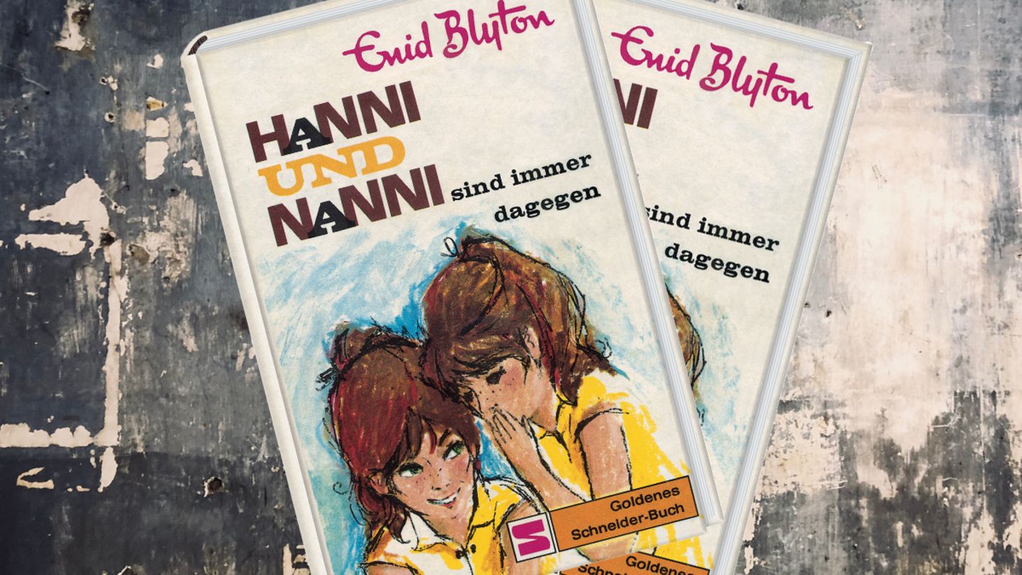 Ein Buch aus der "Hanni und Nanni"-Reihe von Enid Blyton