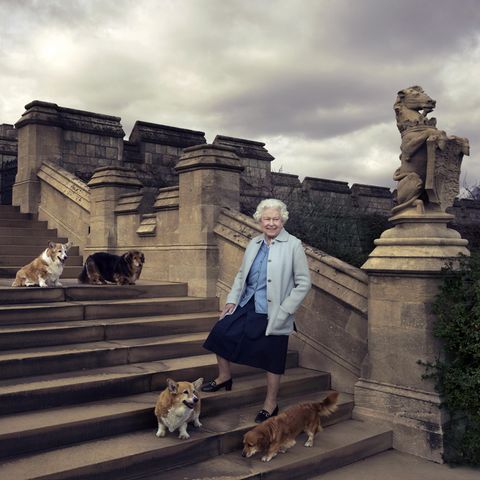 Queen Elizabeth II. und ihre Corgis