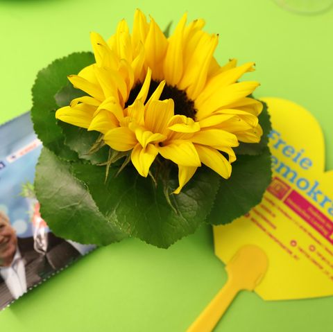 Eine Bonbontüte der CDU, eine Sonnenblume der Grünen und ein Herz der FDP