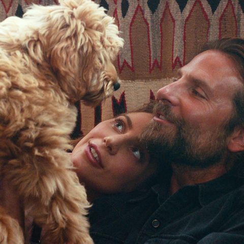 Bradley Cooper und Lady Gaga in "A Star is Born"