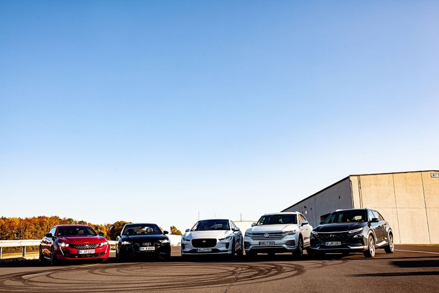 GCOTY Bilster Berg 2019