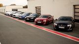 GCOTY Bilster Berg 2019