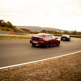 Peugeot 508 GCOTY 2019