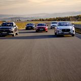 GCOTY Bilster Berg 2019