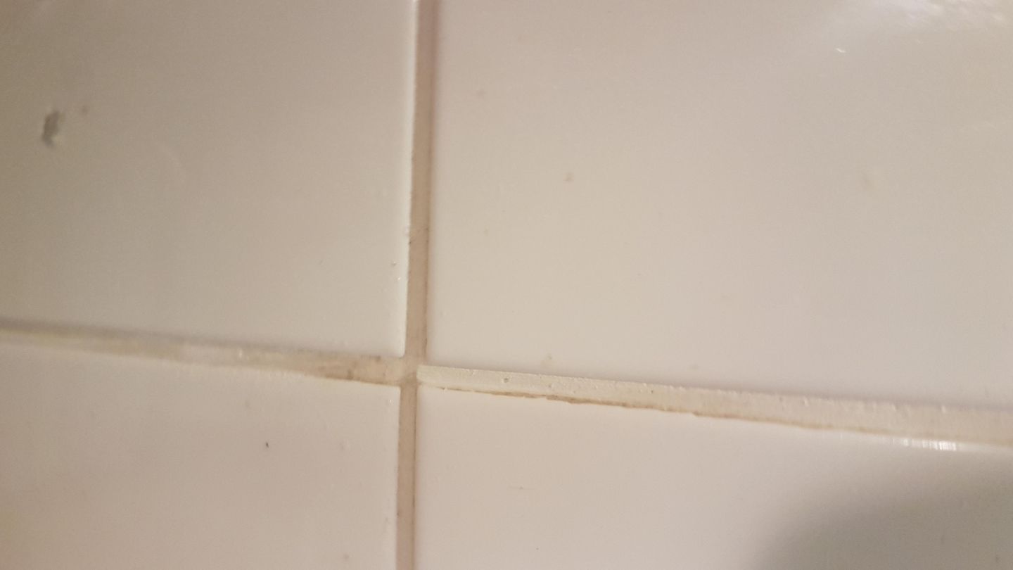 DHDL: Fazit: Nach zwei Arbeitsschritten sieht die Fuge tatsächlich sauberer aus. Die Verwendung des Fugentorpedo ist simpel. Wer den großen Frühjahrsputz in Angriff nehmen will (oder richtig alte, verkrustete Fliesen hat), ist mit dem Gerät gut beraten. Für die alltägliche Reinigung ist der Fugentorpedo doch ein bisschen viel. Um Fugen nach der Reinigung zu schützen, haben die Gründer auch einen Fugenschutz-Stift im Sortiment. Fazit: Nach zwei Arbeitsschritten sieht die Fuge tatsächlich sauberer aus. Die Verwendung des Fugentorpedo ist simpel. Wer den großen Frühjahrsputz in Angriff nehmen will (oder richtig alte, verkrustete Fliesen hat), ist mit dem Gerät gut beraten. Für die alltägliche Reinigung ist der Fugentorpedo doch ein bisschen viel. Um Fugen nach der Reinigung zu schützen, haben die Gründer auch einen Fugenschutz-Stift im Sortiment.