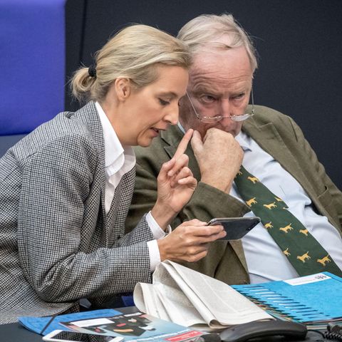 Die AfD-Bundesspitze um Alice Weidel und Alexander Gauland bemüht sich um eine klare Abgrenzung zum rechten Rand