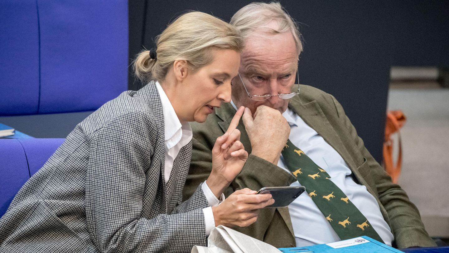 Die AfD-Bundesspitze um Alice Weidel und Alexander Gauland bemüht sich um eine klare Abgrenzung zum rechten Rand