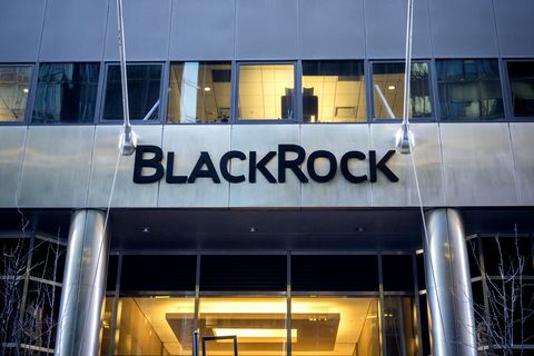 Blackrock Investment-Unternehmen