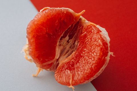 Petition will "Schamlippen" in "Vulvalippen" umbenennen