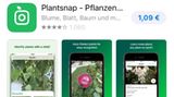 Plantsnap kennt alle Pflanzen