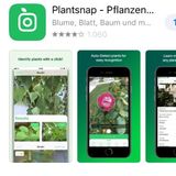 Plantsnap kennt alle Pflanzen