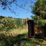 "True Studio" ist für Gärten und die freie Natur gedacht.