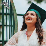 Der fröhliche Delfin