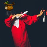 Das erfolgreiche Faultier