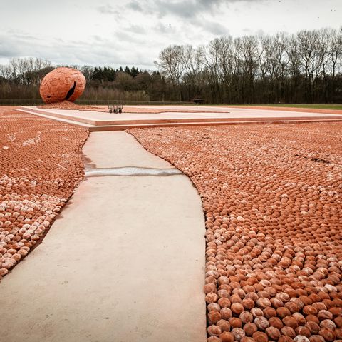 Belgien: Die Installation ist bis zum 11. November, dem Tag des Waffenstillstands vor 100 Jahren, zu sehen