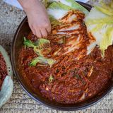 Würzen  Nachdem der Kohl für einige Stunden gesalzen und dank des dadurch bedingten Wasserentzugs flexibel geworden ist, wird er mit Wasser ausgewaschen und dann Lage für Lage mit der pfefferschotenroten Würzmasse eingestrichen. Das geschieht, gründlich und sanft, alles von Hand.