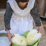 Kohl schneiden  Am Anfang steht der Chinakohl. Frau Park schneidet ihn mit dem Messer am Strunk ein, um ihn dann händisch in zwei Hälften zu reißen. Der Klang, den der Kohlkopf dabei macht, ist quietschig und hohl, so als stäche und bräche man in eine Styroporbox – ein wichtiger Frischeindikator.