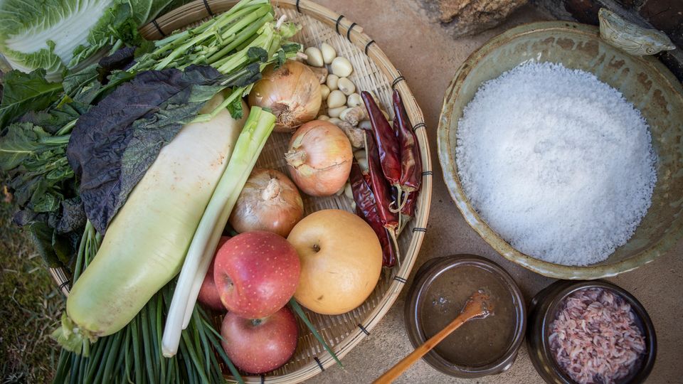 Originalrezept aus Korea: Ein Füllhorn der Aromen Die Aromatisierung von Kimchi kennt keine Grenzen. Frau Park setzt Rettich und Frühlingszwiebeln ein, Schnittknoblauch und Zwiebeln, Chili natürlich (und nicht zu knapp) und selbst Äpfel sowie (rund und gelb) koreanische Birnen. Sämtliche Zutaten werden fein gerieben oder gehackt und miteinander unter Zusatz von etwas Wasser und Reisschleim zu einem Würzschlamm gemischt, der dem gesalzenen und danach wieder ausgewaschenen Kohl zwischen die einzelnen Blattlagen gepackt wird; so wie dem Haar beim Färben einzeln die Strähnen eingestrichen werden. Ein Füllhorn der Aromen Die Aromatisierung von Kimchi kennt keine Grenzen. Frau Park setzt Rettich und Frühlingszwiebeln ein, Schnittknoblauch und Zwiebeln, Chili natürlich (und nicht zu knapp) und selbst Äpfel sowie (rund und gelb) koreanische Birnen. Sämtliche Zutaten werden fein gerieben oder gehackt und miteinander unter Zusatz von etwas Wasser und Reisschleim zu einem Würzschlamm gemischt, der dem gesalzenen und danach wieder ausgewaschenen Kohl zwischen die einzelnen Blattlagen gepackt wird; so wie dem Haar beim Färben einzeln die Strähnen eingestrichen werden.