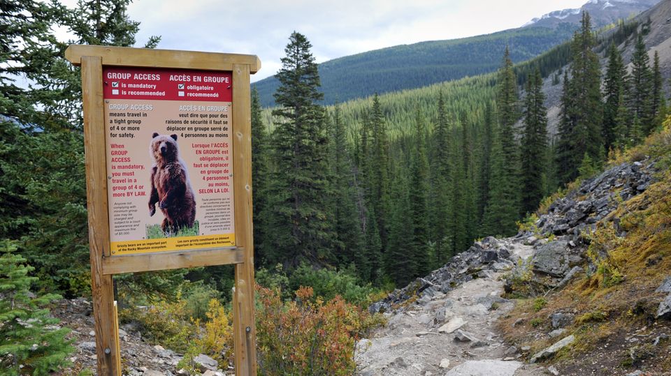 Auf diesem Wanderweg kann es zu Begegnungen mit Grizzlybären kommen
