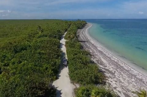 Kostbare Ressource: Sand wird knapp: Wissenschaftlerin warnt vor Tragödie