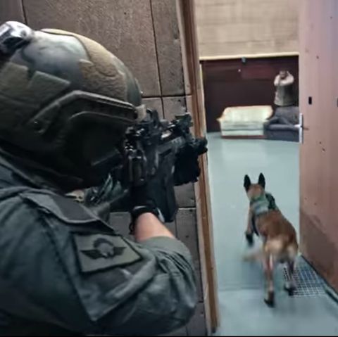 Spezialeinheit GSG 9: Wie ein Actionfilm: Mit diesem Werbeclip will die Bundespolizei neues Personal anlocken