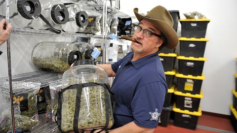 Filmschauspieler James Belushi betreibt eine Marihuana-Farm.