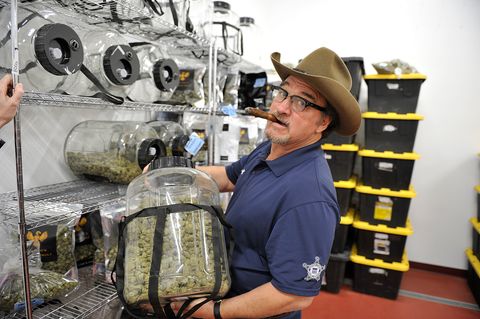 Filmschauspieler James Belushi betreibt eine Marihuana-Farm.