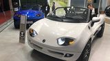 Auffällige Kleinwagen: D2D Automobile