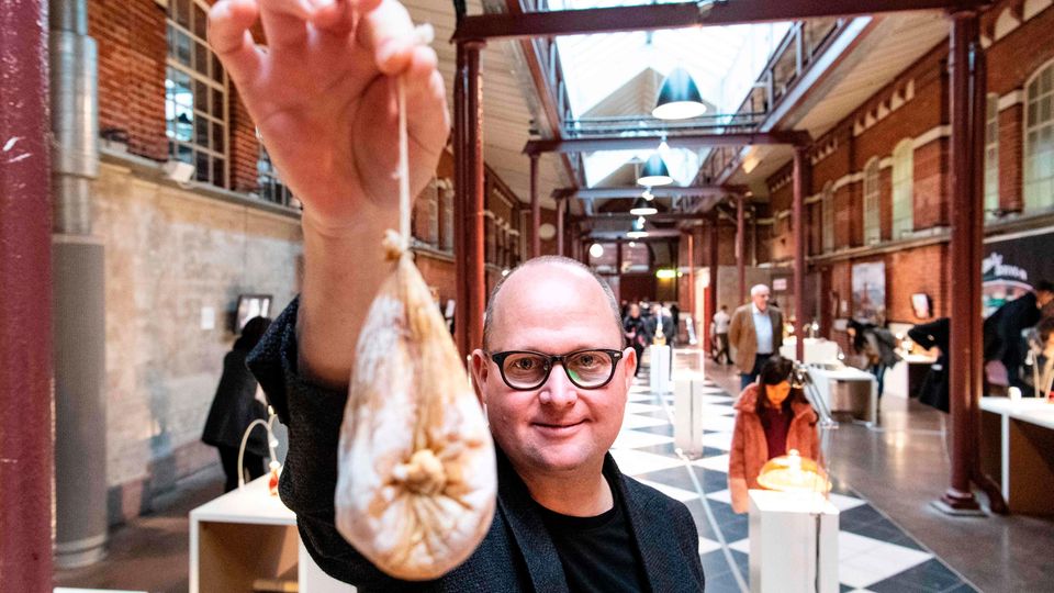 Maus-Wein, Gammel-Hai und Maden-Käse: Der Museums-Kurator Samuel West hält Su Callu in die Höhe. Ein Käse aus dem Magen eines Zickleins. Der Museums-Kurator Samuel West hält Su Callu in die Höhe. Ein Käse aus dem Magen eines Zickleins.