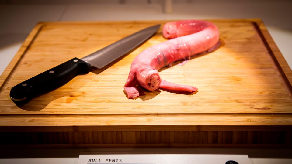 Maus-Wein, Gammel-Hai und Maden-Käse: Ein Stück Bullenpenis? Kann man sich im Museum auch abschneiden - und probieren. Ein Stück Bullenpenis? Kann man sich im Museum auch abschneiden - und probieren.