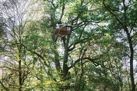 Anfang Oktober räumte die Polizei den Hambacher Forst - dann besetzten Demonstranten den Wald erneut. In lichter Höhe entstanden neue Plattformen.