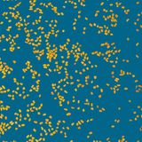 Bockshornklee  Die gelben Samen des Bockshornklees gelten als Wundermittel unter den Gewürzen. In Indien, im arabischen Raum und in Persien setzt man die Samen seit Jahrhunderten als Aphrodisiakum ein und vertraut auf ihre heilenden Kräfte gegen ein ganzes Potpourri körperlicher Leiden. So soll Bockshornklee bei Atemwegserkrankungen helfen, Verdauungsschmerzen lindern, Leberschäden mildern und sogar Dickdarmkrebs vorbeugen. Frauen hoffen darauf, mit den Samen ihren Menstruationszyklus zu normalisieren, Männer versprechen sich gesteigertes Haarwachstum. Keine dieser Hoffnungen konnte die Wissenschaft bislang bestätigen. Aber immerhin wiesen Experten in Studien nach, dass seine Samen Cholesterin und den Blutzuckerspiegel senken können. Weil sie zusätzlich einer Insulinresistenz entgegenwirken, können Bockshornkleesamen bei der Vorsorge gegen Typ-2-Diabetes helfen. Außerdem würzt Bockshornklee leckere Currys und Süßigkeiten, etwa persisches Halva. Die Samen lassen sich leicht selbst verarbeiten: Trocken rösten und mahlen oder im Mörser mit weiteren Zutaten zu würzigen Pasten zerquetschen. Bockshornklee enthält Diosgenin, das in der Empfängnisverhütung eingesetzt wird. Wichtig: Schwangere Frauen sollten Bockshornklee meiden, da er im schlimmsten Fall eine Fehlgeburt verursachen kann.