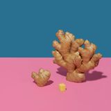 Ingwer  Frisch, als Kapsel oder Tropfen gehört Ingwer in die Reiseapotheke, denn er ist ein bewährtes Mittel gegen Übelkeit und Brechreiz: Er hilft Menschen, denen im Auto, im Flugzeug oder in der Bahn schlecht wird. Obwohl viele Seeleute und Segler auf das Kauen von geschälten Ingwerstückchen als Hausmittel schwören, konnten wissenschaftliche Studien einen lindernden Effekt bei der Seekrankheit nicht zweifelsfrei belegen. Auch bei Übelkeit zu Beginn einer Schwangerschaft, nach Operationen oder während einer Chemotherapie scheint sich das Gewürz zu bewähren. Aber auch hier sind die Ergebnisse der verschiedenen Untersuchungen nicht eindeutig. In jedem Fall hemmen die Inhaltsstoffe des Ingwers die Vermehrung von Bakterien und Viren, sie fördern die Durchblutung und die Verdauung. Bei Schmerzen kann er ebenfalls hilfreich sein. In einer Übersichtsarbeit aus dem Jahr 2015 kamen dänische Forscher zu dem Ergebnis, dass sich Arthroseschmerzen durch Ingwerpräparate lindern lassen. Ingwer ähnelt in seiner Wirksamkeit offenbar einem leichten Schmerzmittel wie Acetylsalicylsäure. Auch bei Migränepatienten haben sich Kapseln mit Ingwerpulver bewährt. In der traditionellen asiatischen Medizin wird Ingwer bei rheumatischen Beschwerden und Muskelschmerzen eingesetzt. Als Tee hat er bei Erkältungen eine schleimlösende Wirkung.