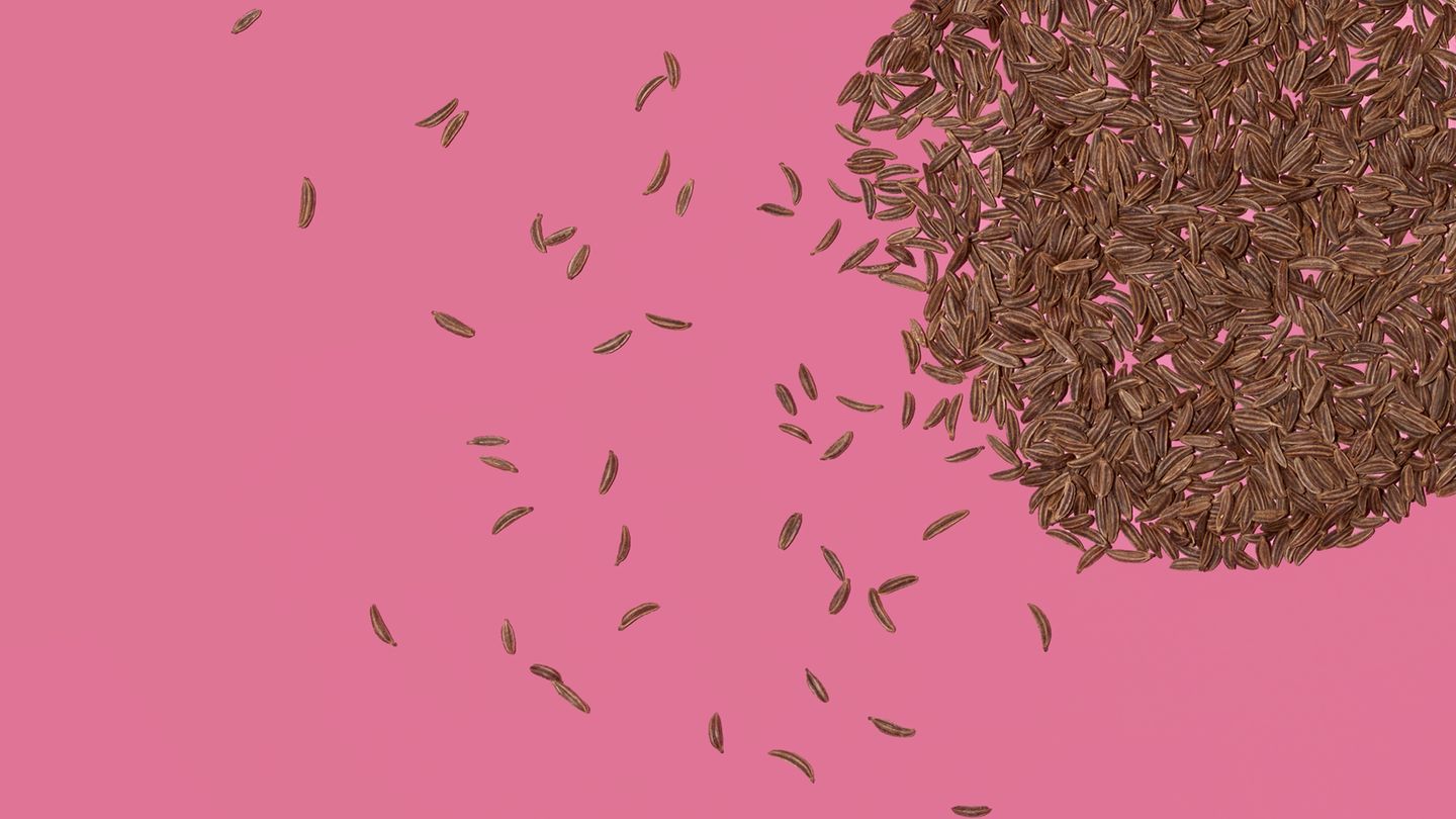 Gut zu wissen: Kümmel Als Hausmittel gegen Blähungen, Völlegefühl, Magenkrämpfe und Reizmagen haben sich die getrockneten reifen Früchte des Wiesenkümmels seit vielen Jahrhunderten vor allem in Europa bewährt. Forscher fanden Kümmelfrüchte in Ausgrabungen von Pfahlbauten, die sich auf 3000 Jahre vor Christus zurückdatieren ließen. Hauptwirkstoffe sind die ätherischen Öle Carvon und Limonen, die für den charakteristischen Geruch verantwortlich sind. Die medizinische Forschung hat die Wirksamkeit des Kümmels bei Verdauungsbeschwerden in zahlreichen Studien bestätigt. Er bewirkt, dass mehr Magensäure ausgeschüttet wird. Das regt den Appetit und die Verdauung an. Die ätherischen Öle, die er enthält, entspannen gleichzeitig die Muskulatur im Verdauungstrakt und wirken so Verkrampfungen entgegen. Außerdem haben sie antibakterielle Eigenschaften. Kümmel zu kauen kann deshalb Mundgeruch verhindern. In Kombination mit Anis und Fenchel wird Kümmel häufig als Tee angeboten. Diese Heilpflanzen besitzen ähnliche Eigenschaften und verstärken sich in ihrer Wirkung. Wichtig: Nur Pflanzenkenner sollten Kümmelfrüchte auf Wiesen selbst sammeln. Denn die Kümmelpflanze sieht dem hochgiftigen Schierling sehr ähnlich. Kümmel Als Hausmittel gegen Blähungen, Völlegefühl, Magenkrämpfe und Reizmagen haben sich die getrockneten reifen Früchte des Wiesenkümmels seit vielen Jahrhunderten vor allem in Europa bewährt. Forscher fanden Kümmelfrüchte in Ausgrabungen von Pfahlbauten, die sich auf 3000 Jahre vor Christus zurückdatieren ließen. Hauptwirkstoffe sind die ätherischen Öle Carvon und Limonen, die für den charakteristischen Geruch verantwortlich sind. Die medizinische Forschung hat die Wirksamkeit des Kümmels bei Verdauungsbeschwerden in zahlreichen Studien bestätigt. Er bewirkt, dass mehr Magensäure ausgeschüttet wird. Das regt den Appetit und die Verdauung an. Die ätherischen Öle, die er enthält, entspannen gleichzeitig die Muskulatur im Verdauungstrakt und wirken so Verkrampfungen entgegen. Außerdem haben sie antibakterielle Eigenschaften. Kümmel zu kauen kann deshalb Mundgeruch verhindern. In Kombination mit Anis und Fenchel wird Kümmel häufig als Tee angeboten. Diese Heilpflanzen besitzen ähnliche Eigenschaften und verstärken sich in ihrer Wirkung. Wichtig: Nur Pflanzenkenner sollten Kümmelfrüchte auf Wiesen selbst sammeln. Denn die Kümmelpflanze sieht dem hochgiftigen Schierling sehr ähnlich.