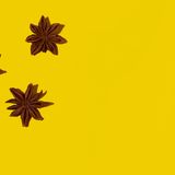 Sternanis  Der Sternanis ist eine der tragenden Säulen in der asiatischen Küche: Die harte, hölzern wirkende Frucht mit den glatten Samen stammt von einem immergrünen Baum, der in China beheimatet ist und bis zu 20 Meter hoch werden kann. Nicht nur in China ist sie Bestandteil vieler Gerichte, sondern auch in Vietnam, Malaysia, Thailand und Indien. Verarbeitet werden die Samen und ihre sternförmige Hülle, in einigen Gerichten werden sie als Ganzes mitgekocht, in anderen zu Pulver gemahlen. Der Sternanis ist nicht zu verwechseln mit dem durchaus ähnlich schmeckenden Anis, eine Heilpflanze, die in Europa beheimatet ist.  Die weite Verbreitung des Sternanis ist nicht nur dem süßlichen Lakritzaroma mit den feinen Eukalyptus- und Zimtnoten geschuldet, sondern auch seiner heilsamen Wirkung bei kleineren Unpässlichkeiten des Alltags: Vor allem seine ätherischen Öle geben ihm schleim- und krampflösende Eigenschaften, das macht ihn zu einem beliebten Mittel in Teemischungen gegen Erkältungskrankheiten, aber auch zur Linderung von Verdauungsbeschwerden wie Völlegefühl, Blähungen und Krämpfen im Bauchraum. Das Kauen der Früchte wirkt gegen Mundgeruch, ihr Öl soll Zahnschmerzen entgegenwirken.