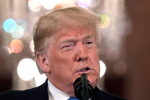 Donald Trump - Was er kann und was nicht