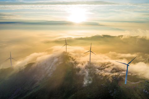 Die Auswirkungen von Windparks auf die Ökosysteme kann derzeit noch nicht abgeschätzt werden (Symbolfoto)