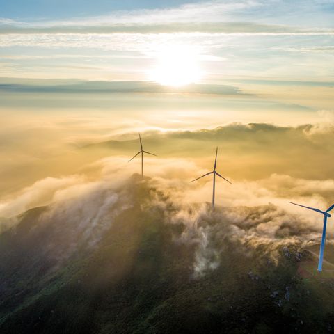 Die Auswirkungen von Windparks auf die Ökosysteme kann derzeit noch nicht abgeschätzt werden (Symbolfoto)