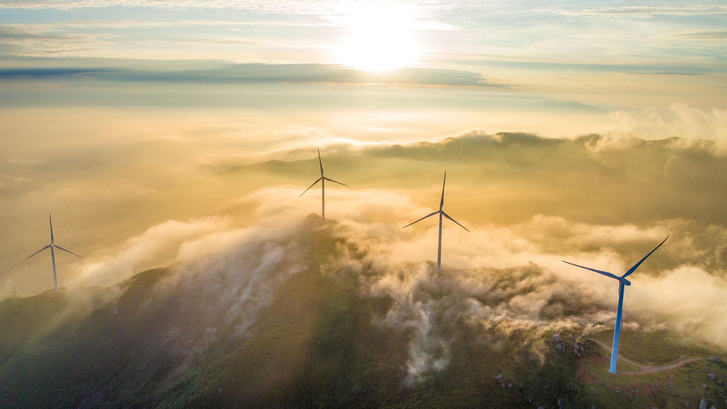 Die Auswirkungen von Windparks auf die Ökosysteme kann derzeit noch nicht abgeschätzt werden (Symbolfoto)