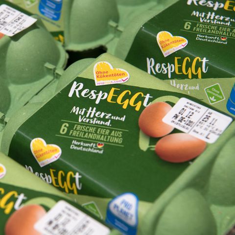 Eier im Supermarkt, die ohne Kükentöten auskommen