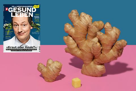 Gut zu wissen: Die Heilkraft von Ingwer, Zimt und Pfeffer: Was die Gewürze leisten - und was nicht