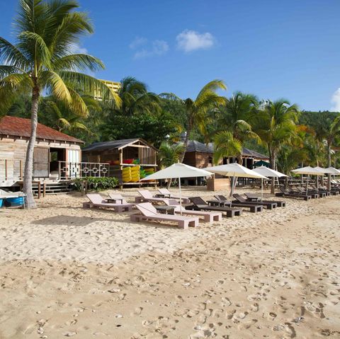 Sonnenliegen unter Palmen an einem Karibik-Strand